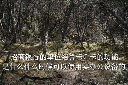  招商銀行的單位結(jié)算卡C 卡的功能是什么什么時(shí)候可以使用買(mǎi)辦公設(shè)備的...