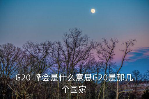 銀行峰會,2023銀行峰會