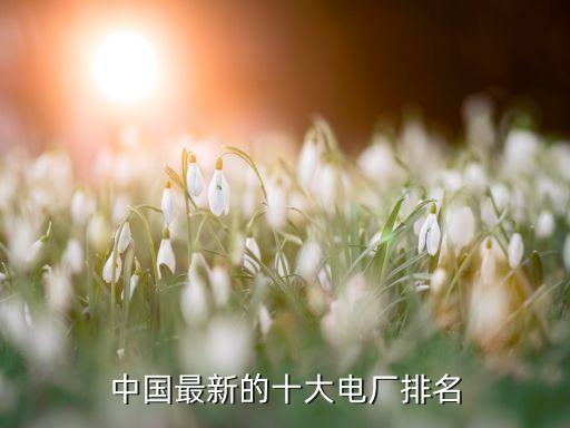 ?；涬娏ν顿Y