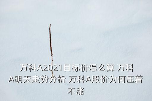  萬科A2021目標價怎么算 萬科A明天走勢分析 萬科A股價為何壓著不漲