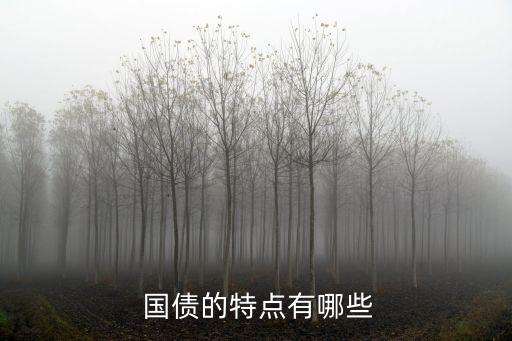  國債的特點(diǎn)有哪些