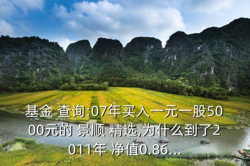 基金 查詢:07年買(mǎi)入一元一股5000元的 景順 精選,為什么到了2011年 凈值0.86...
