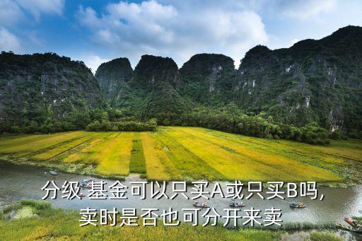  分級(jí) 基金可以只買(mǎi)A或只買(mǎi)B嗎,賣(mài)時(shí)是否也可分開(kāi)來(lái)賣(mài)