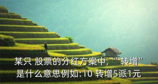某只 股票的分紅方案中,“ 轉增”是什么意思例如:10 轉增5派1元