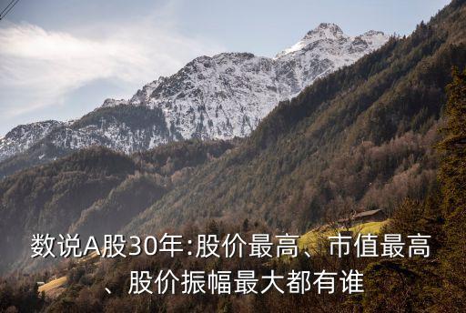 數(shù)說A股30年:股價(jià)最高、市值最高、股價(jià)振幅最大都有誰