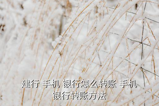  建行 手機 銀行怎么轉(zhuǎn)賬 手機 銀行轉(zhuǎn)賬方法