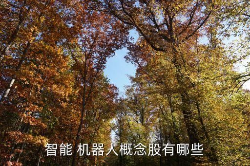 機器人與互聯(lián)網(wǎng)技術(shù)股票,香港漢森機器人技術(shù)公司股票