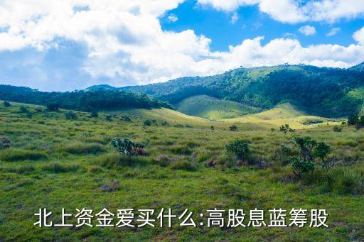 北上資金愛買什么:高股息藍籌股