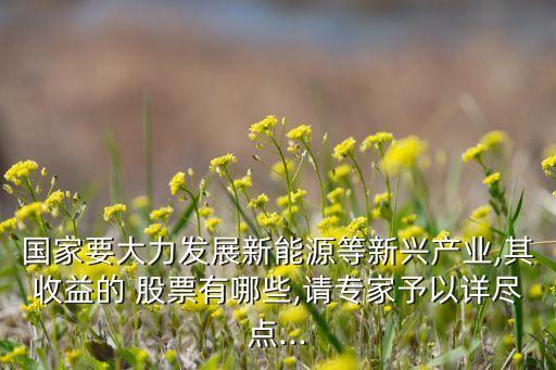 國(guó)家要大力發(fā)展新能源等新興產(chǎn)業(yè),其收益的 股票有哪些,請(qǐng)專(zhuān)家予以詳盡點(diǎn)...