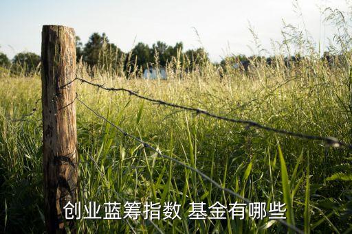 王保合基金經理排名