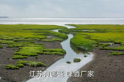 青島啤酒宿遷有限公司聯(lián)系電話(huà),宿遷雙星彩塑新材料有限公司聯(lián)系電話(huà)
