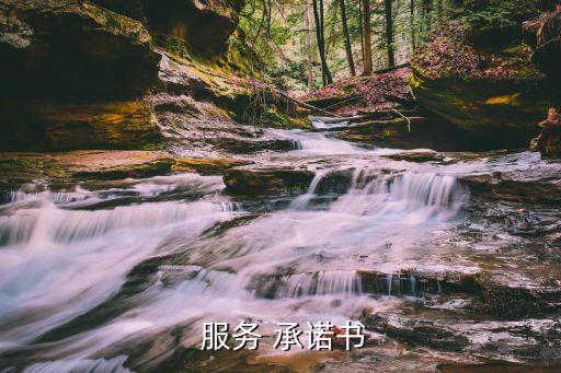  服務(wù) 承諾書(shū)