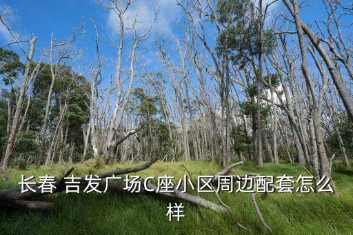 長春 吉發(fā)廣場(chǎng)C座小區(qū)周邊配套怎么樣