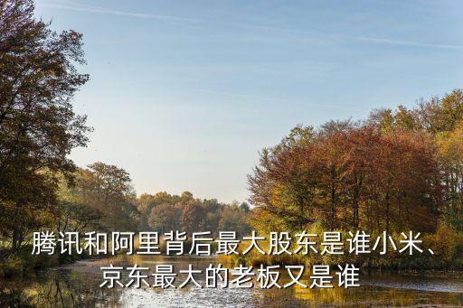 騰訊和阿里背后最大股東是誰小米、京東最大的老板又是誰