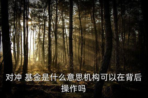 對沖 基金是什么意思機構(gòu)可以在背后操作嗎