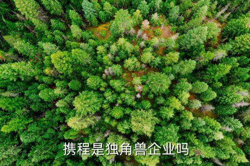  攜程是獨角獸企業(yè)嗎