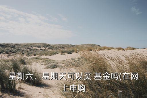 星期六、星期天可以買 基金嗎(在網(wǎng)上申購