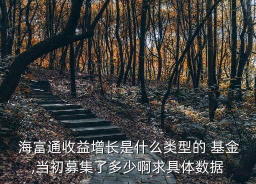 海富通二號(hào)基金凈值519015,天天基金海富通收益增長凈值
