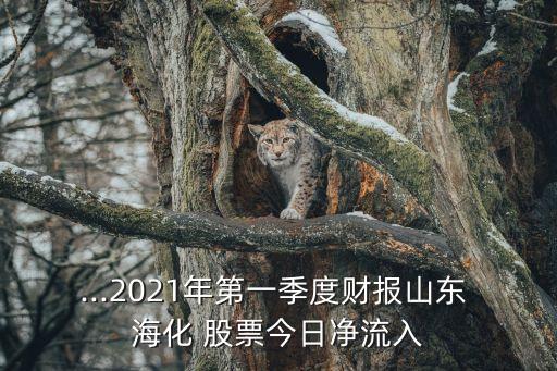 st?；善?海化股票歷史交易數(shù)據(jù)