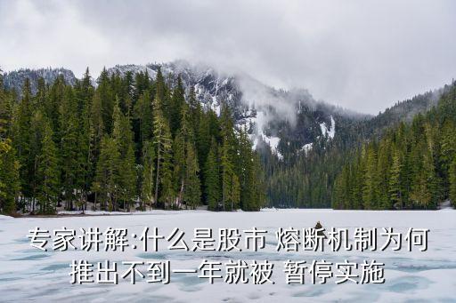 專家講解:什么是股市 熔斷機(jī)制為何推出不到一年就被 暫停實施