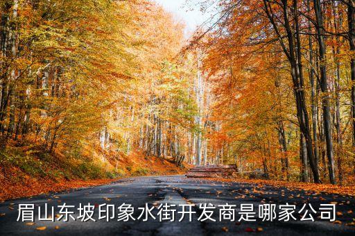 眉山東坡印象水街開(kāi)發(fā)商是哪家公司