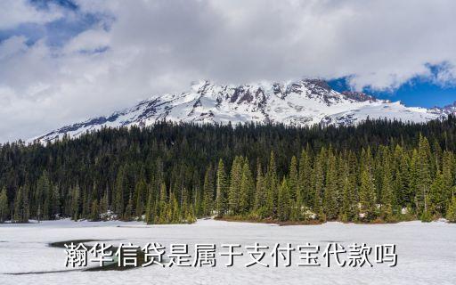 哈爾濱瀚華小額貸款公司,重慶市瀚華小額貸款有限責任公司