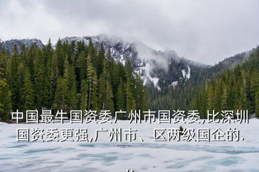 中國(guó)最牛國(guó)資委廣州市國(guó)資委,比深圳國(guó)資委更強(qiáng),廣州市、區(qū)兩級(jí)國(guó)企的...