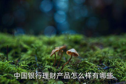  中國銀行理財產(chǎn)品怎么樣有哪些