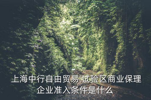  上海中行自由貿(mào)易 試驗區(qū)商業(yè)保理企業(yè)準入條件是什么