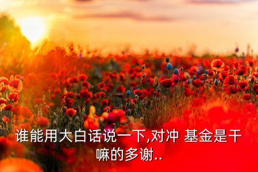 誰能用大白話說一下,對(duì)沖 基金是干嘛的多謝..