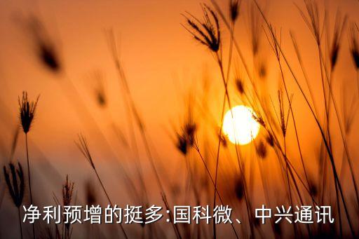 凈利預(yù)增的挺多:國(guó)科微、中興通訊