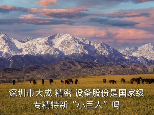 深圳市大成 精密 設(shè)備股份是國(guó)家級(jí)專(zhuān)精特新“小巨人”嗎