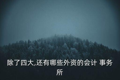 香港立信德豪會計(jì)師事務(wù)所有限公司