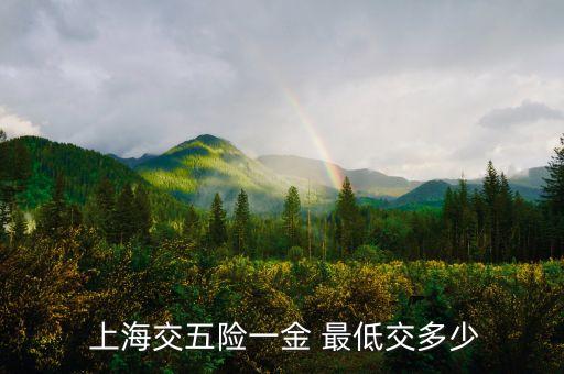 上海養(yǎng)老保險最低標準,交養(yǎng)老保險最低標準