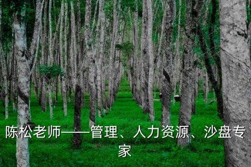 陳松老師——管理、人力資源、沙盤(pán)專(zhuān)家