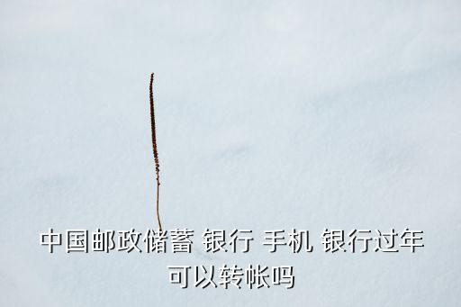 中國郵政儲蓄 銀行 手機(jī) 銀行過年可以轉(zhuǎn)帳嗎
