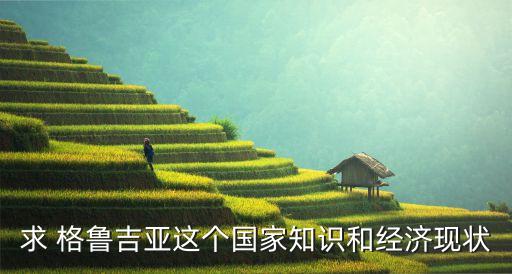 求 格魯吉亞這個(gè)國家知識(shí)和經(jīng)濟(jì)現(xiàn)狀
