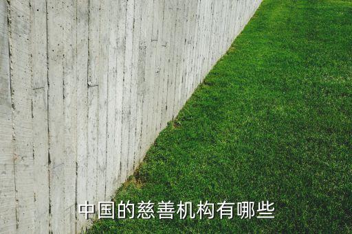 中國(guó)的慈善機(jī)構(gòu)有哪些