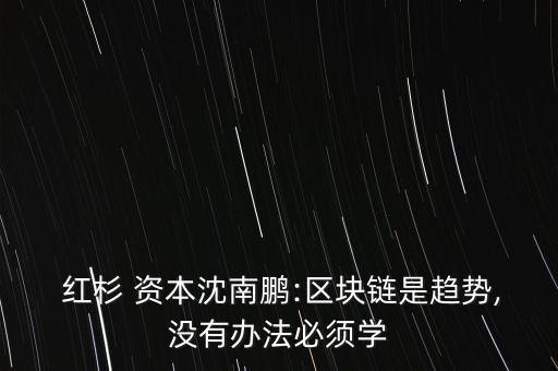  紅杉 資本沈南鵬:區(qū)塊鏈是趨勢,沒有辦法必須學