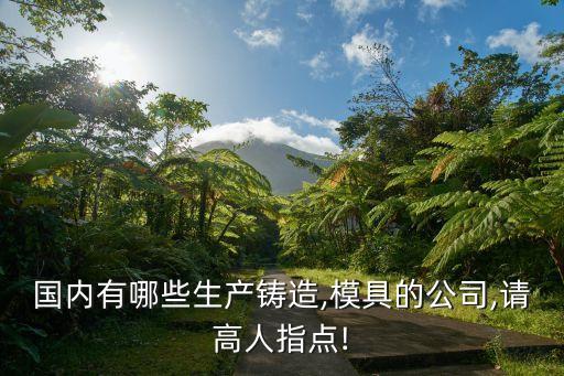 國內有哪些生產(chǎn)鑄造,模具的公司,請高人指點!