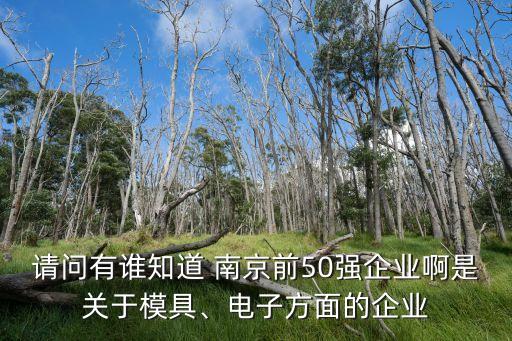 請問有誰知道 南京前50強企業(yè)啊是關于模具、電子方面的企業(yè)