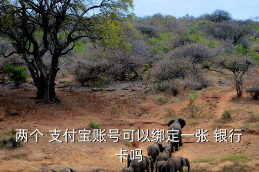 兩個(gè) 支付寶賬號(hào)可以綁定一張 銀行卡嗎