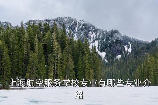 上海機(jī)場飛機(jī)維修