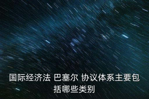 國(guó)際經(jīng)濟(jì)法 巴塞爾 協(xié)議體系主要包括哪些類(lèi)別