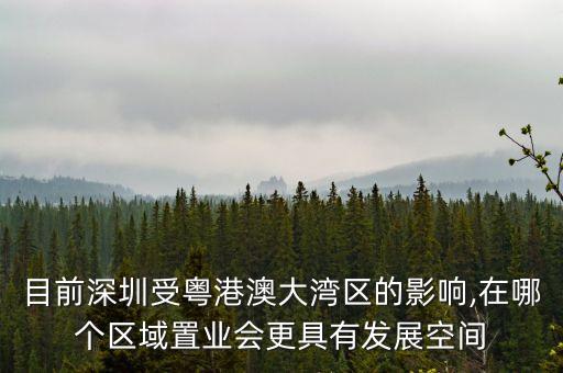 目前深圳受粵港澳大灣區(qū)的影響,在哪個(gè)區(qū)域置業(yè)會更具有發(fā)展空間