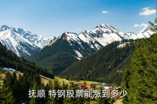 東北特鋼上市公司,生產特鋼的上市公司