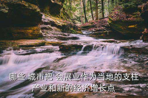 哪些 城市把 會展業(yè)作為當?shù)氐闹еa(chǎn)業(yè)和新的經(jīng)濟增長點