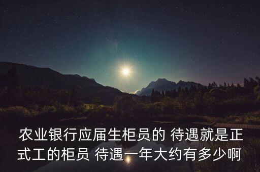  農(nóng)業(yè)銀行應屆生柜員的 待遇就是正式工的柜員 待遇一年大約有多少啊