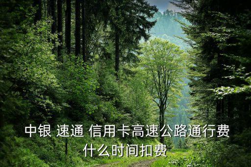 中國銀行中銀速通信用卡,有中國銀行信用卡可以申請中銀e貸嗎
