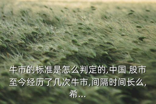 牛市的標(biāo)準(zhǔn)是怎么判定的,中國 股市至今經(jīng)歷了幾次牛市,間隔時(shí)間長么,希...